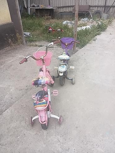 4: Детский велосипед, 4-колесный, 4 - 6 лет, Для девочки — 3