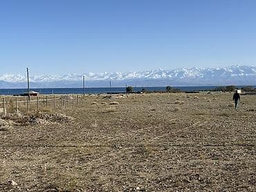 Недвижимость: 8 соток, Для строительства — 1