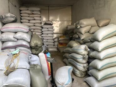 бенкунг отзывы: Семена кормовых растений: Люцерна, Самовывоз — 5