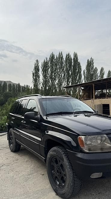 Jeep Grand Cherokee: 1999 г., Жол тандабас — 4