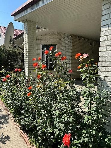 газон дорожка: Ландшафтный участок с мощеными дорожками и декоративными насаждениями — 5