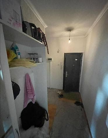 29: 1 комната, 48 м², Элитка, 3 этаж, Косметический ремонт — 8
