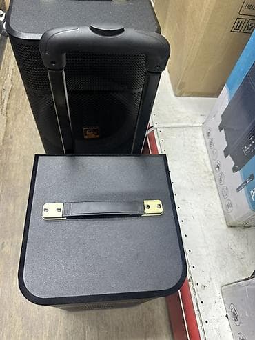 sound system: Портативная акустическая система SS-1 с телескопической ручкой и — 2