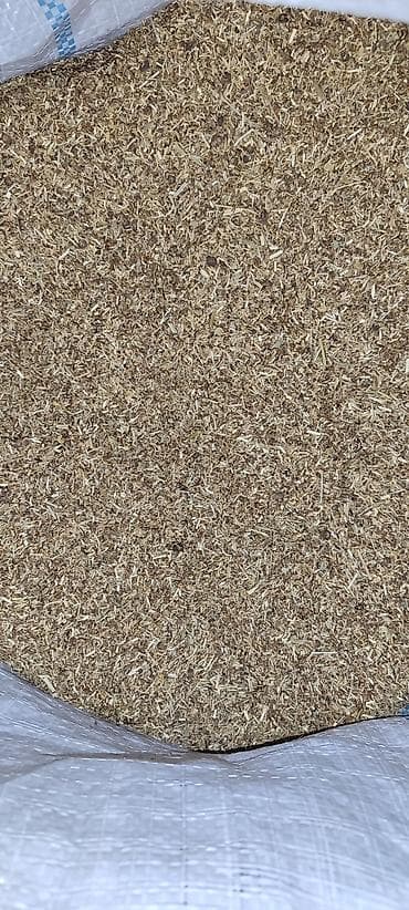 Айыл-чарба жаныбарлары: Продаю бобики от семян люцерны, урожай 2025 года.Может использоваться — 1