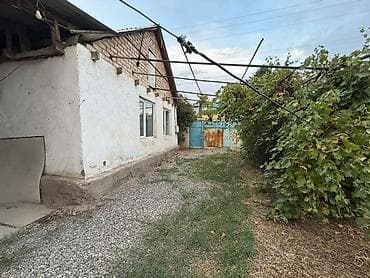 5 соток, Курулуш, Кызыл китеп — 4