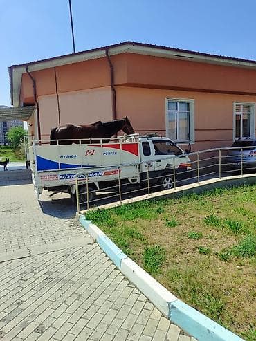 hyundai: Заказать Хендай портер, Переезд — 2