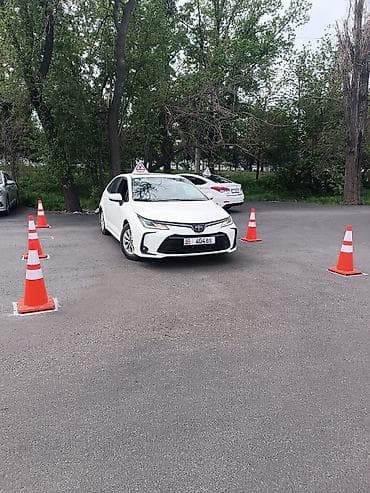 онлайн автошколы: Курсы вождения | (B) | Автошкола — 2