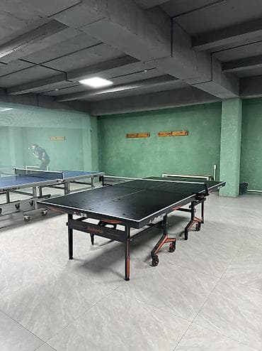 теннисный столик: Профессиональный теннисный столы Double Fish - Игровая поверхность — 2