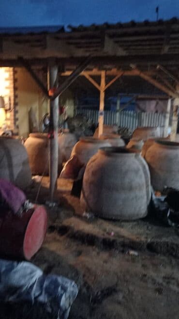 очок фото: Тандырлар Акысыз консультация 6 жылдан ашык тажрыйба — 15