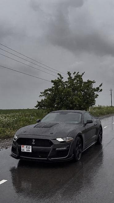 спойдер: Ford Mustang: 2020 г., 2.3 л, Автомат, Купе — 1