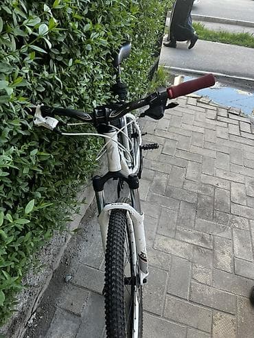 single speed: Горный велосипед, Specialized, Алюминий — 7