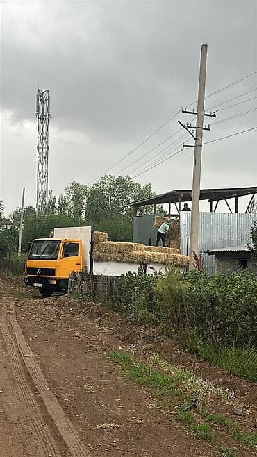 can bus: Грузовик, Mercedes-Benz, Стандарт, Б/у — 3