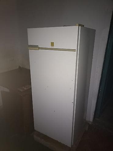 Холодильник Biryusa, Однокамерный — 1