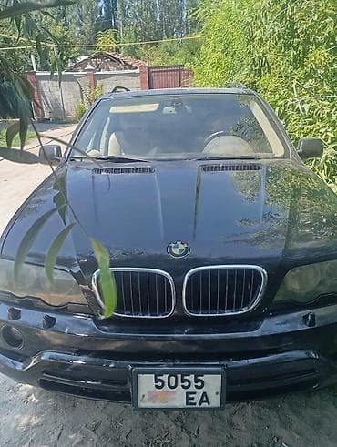 w124 e: BMW X5: 2002 г., 3 л, Автомат, Бензин, Кроссовер — 1