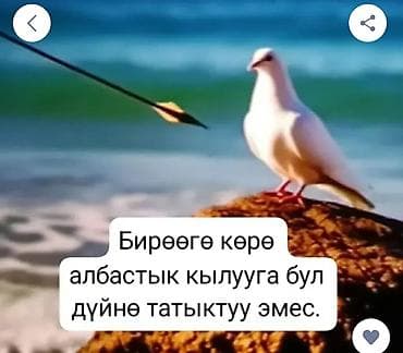 Цифровой постер/изображение с цитатой на киргизском языке и визуалом