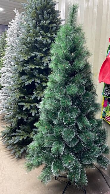 растения в аквариум купить: Все виды новогодних ёлок. от 0.6 до 4 метров. Украсит ваш дом — 10