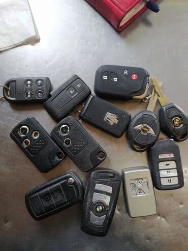 Бала бакчалар, бала багуучулар: Компьютердик диагностика, Автоунаа системаларын жөнгө салуу, адаптациялоо, баруу менен — 23