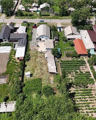 участо: 16 соток, Курулуш, Кызыл китеп, Сатып алуу-сатуу келишими — 3