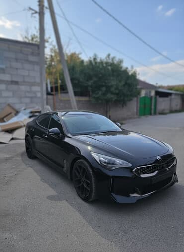 крыло нексия 1: Kia : 2018 г., 2 л, Автомат, Бензиновая, Седан — 1