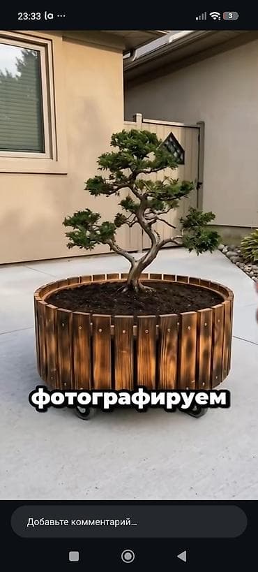 круглый: Кашпо и вазоны, Платная доставка — 3