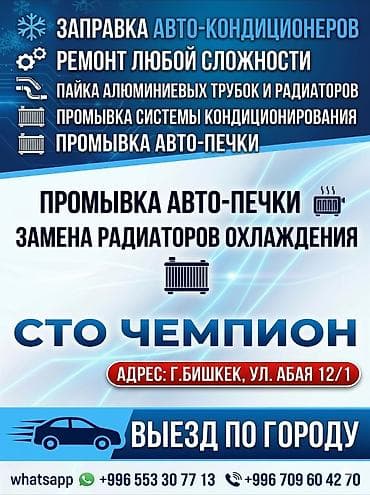 Промывка, чистка систем автомобиля, с выездом