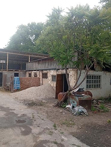 хостел рядом со мной: 🏠 Продается уютный дом в с. Сретенка (ул. Калинина, 19/2) Идеальный — 10