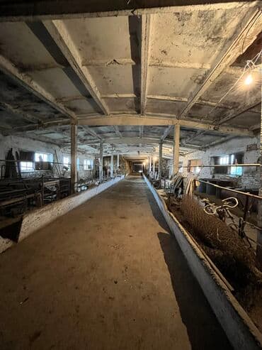 прадайу дом кара балта: Продается ферма (сарай) в г.Кара-Балта, село Ак-Башат. 3х комнатная — 5