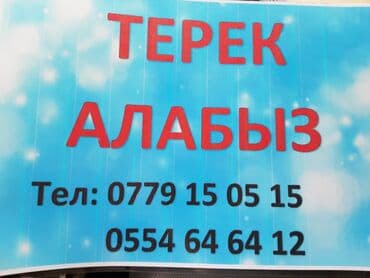 доктор профи бишкек: Другие специальности — 1
