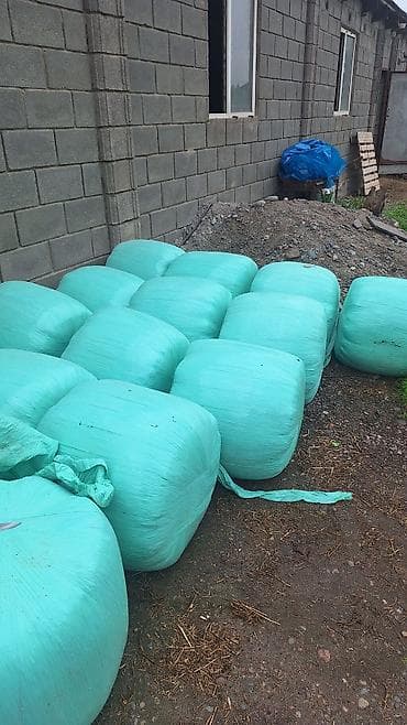 каменная соль: Силос/сенаж в тюках - Тюки в индивидуальной ПВХ-пленке бирюзового — 1