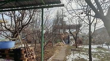 20 тон контейнер у: Садово-дачный участок в Арашане, СТ «Приборист» - Локация: панорамная — 5