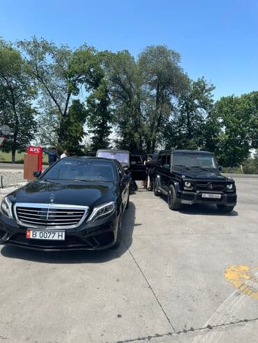 сдаю дом на длительный срок: Кортеж на свадьбу — 6