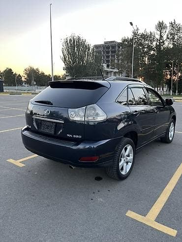 Lexus: Lexus RX: 2004 г., 3.3 л, Автомат, Бензин, Кроссовер — 6