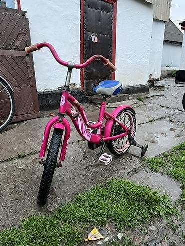 Детский велосипед, 2-колесный, 4 - 6 лет, Для девочки