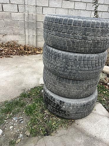 w210 55: LX 570 — 1