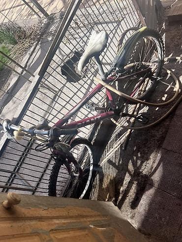 single speed: Горный велосипед, Сталь — 1