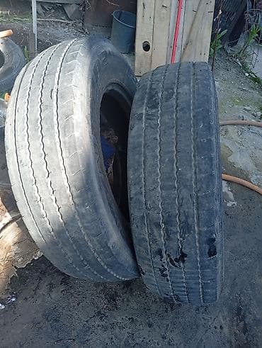 борон: Шины 215 / 75 / R 17.5, Всесезонная, Комплект, Грузовики/Автобусы, Kama — 1