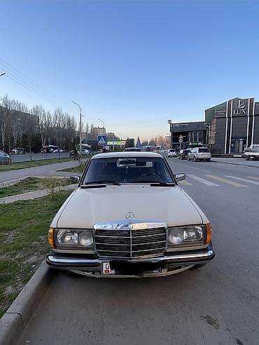 e class: Mercedes-Benz W123: 1983 г., 3 л, Автомат, Дизель, Седан — 1