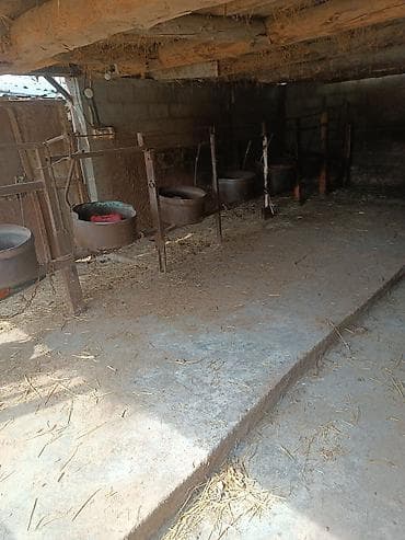 контейнер келечек: Дом с большим участком и хозяйственными постройками - Жилой дом с — 9