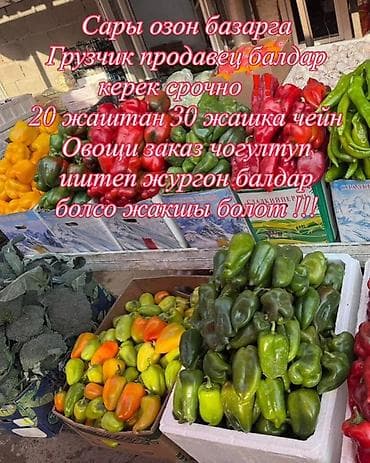 Кампа: Жүк ташуучу — 1