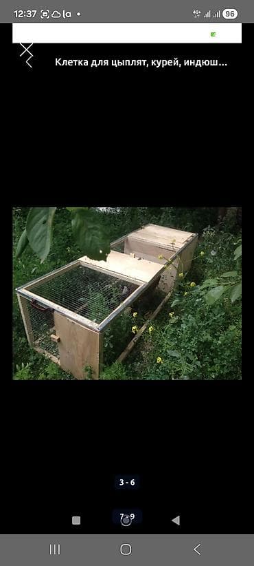 Цена от 5000 и выше в зависимости от размеров. Уяча, гнездо с