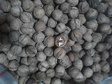 Орехи грецкие