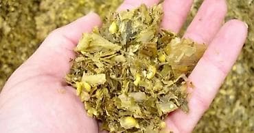 Грызуны: Сенаж!!! Силос!!!!!! Высший сорт!!! — 2