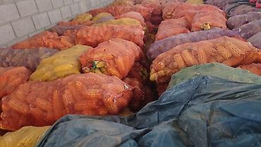 продажа кукурузы в початках: Кукуруза в початках, сушёная, в сетчатых мешках. - Тип: кукуруза — 2