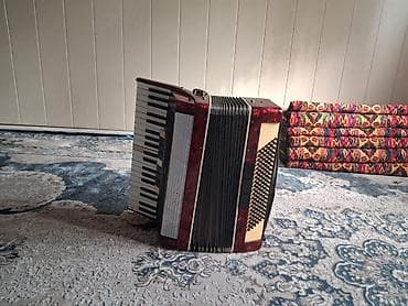 велотренажер купить: Аккордеон (клавишный) в красно-перламутровом корпусе. Характеристики — 3