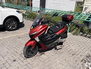 team terzo: Макси-скутер Alpha, 175 куб. см, Бензин — 9
