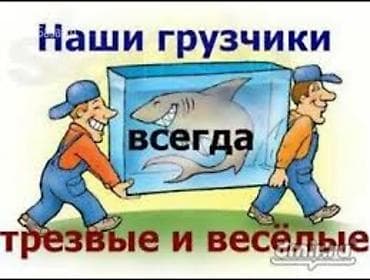 куда: Грузчик. С опытом — 1