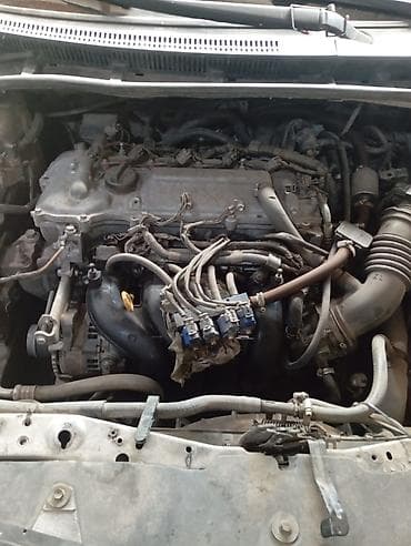 тайота каролла 2005: Toyota Corolla: 2007 г., 1.6 л, Автомат, Бензин, Седан — 7