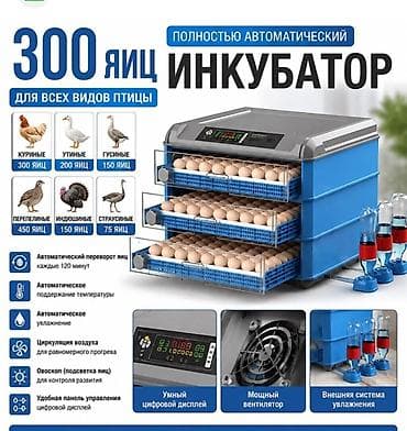 промо стол: Полностью автоматический инкубатор на 300 яиц для всех видов птицы — 1