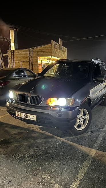 BMW: BMW X5: 2002 г., 3 л, Автомат, Дизель, Внедорожник — 5