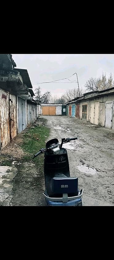 e 303: Электроскутер GAROW R350 электрический скутер/мопед для города Цвет — 1